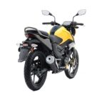 tvs raider rear