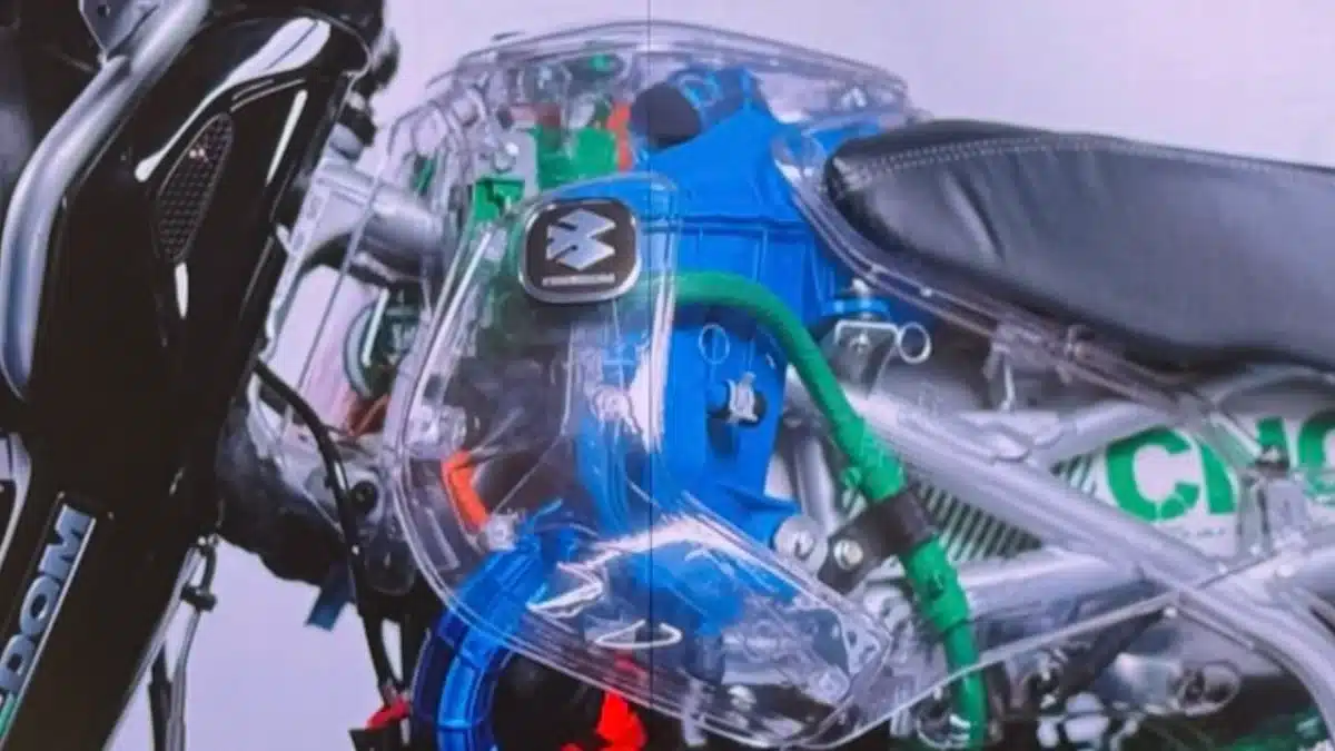 Freedom cng tank