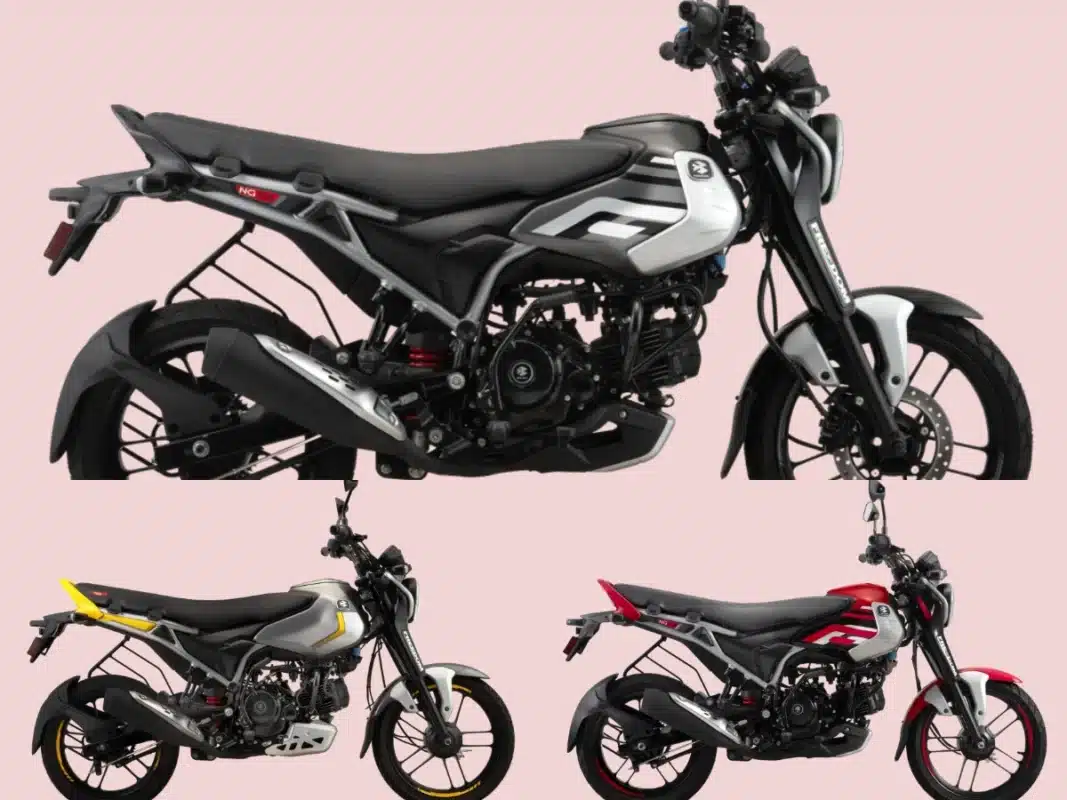 Bajaj Freedom 125 CNG bike is available in 3 variants: NG04 Drum, NG04 Drum LED and NG04 Disc LED