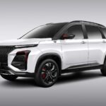 MG hector Snowstorm