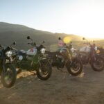 Royal Enfield bear 650 1 1