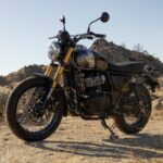 Royal Enfield bear 650 golden shadow