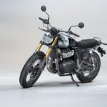 Royal Enfield bear 650 goldenshadow