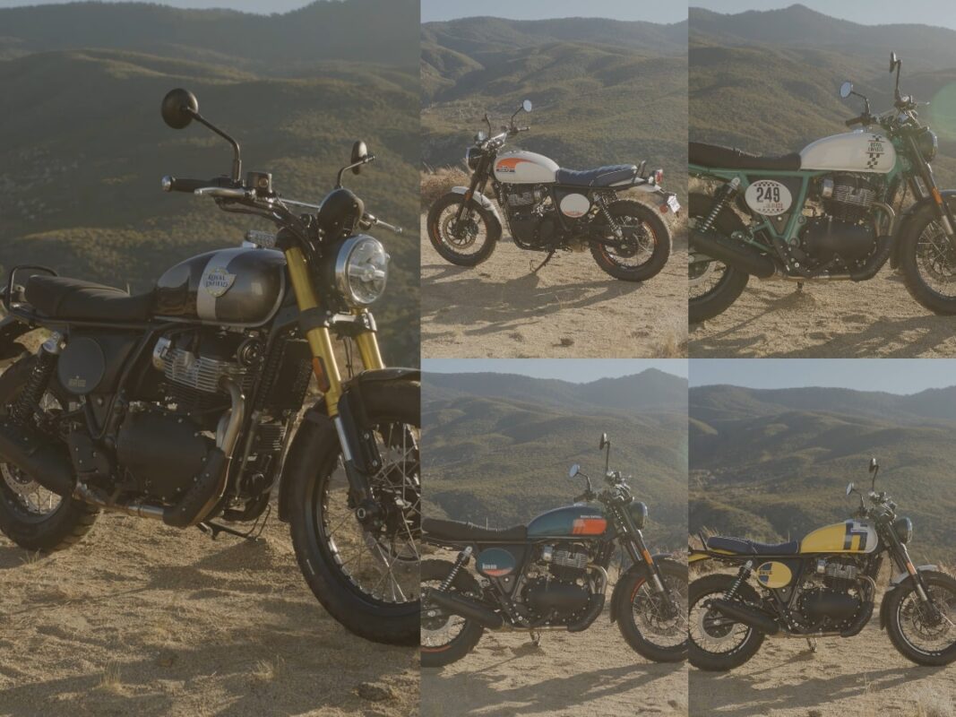 royal enfield bear 650 colours