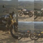 royal enfield bear 650 colours