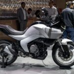 norton atlas adventure